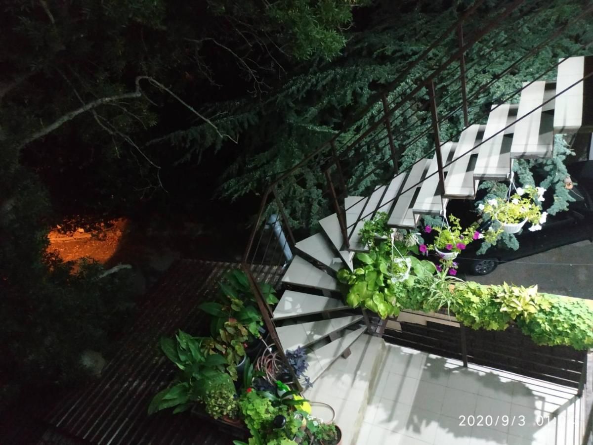 Апартаменты Guesthouse Dmitrieva Ялта-29