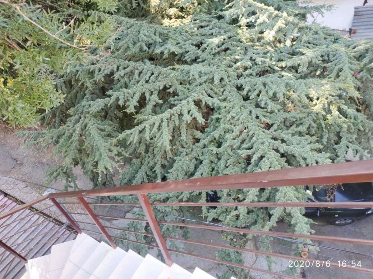 Апартаменты Guesthouse Dmitrieva Ялта-36