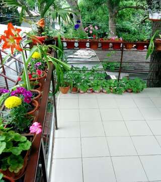 Апартаменты Guesthouse Dmitrieva Ялта Апартаменты-студио-5